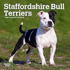 Staffordshire bull terriers for sale  Delivered anywhere in USA 