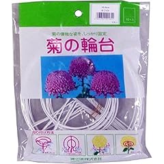 Yasushi watanabe chrysanthemum for sale  Delivered anywhere in USA 
