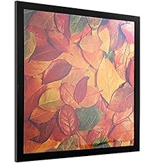 11x11 picture frame for sale  Delivered anywhere in USA 