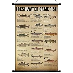 Geyee vintage poster for sale  Delivered anywhere in USA 