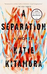 Separation novel for sale  Delivered anywhere in USA 