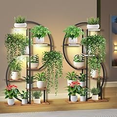 Juikury pack plant for sale  Delivered anywhere in USA 