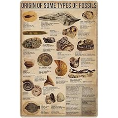 Origin types fossils for sale  Delivered anywhere in USA 