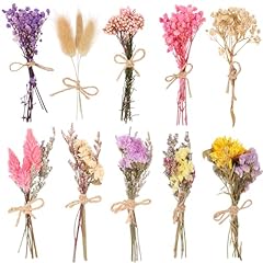 Vaipi pack dried for sale  Delivered anywhere in USA 