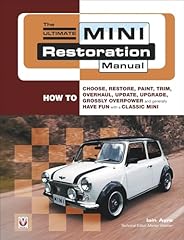 The ultimate mini usato  Spedito ovunque in Italia 
