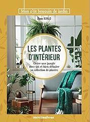 Plantes intérieur créer d'occasion  Livré partout en Belgiqu