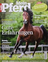 Pferd 4 2024 gebraucht kaufen  Wird an jeden Ort in Deutschland
