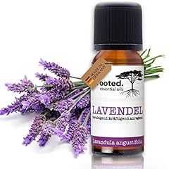 Rooted. olio lavanda usato  Spedito ovunque in Italia 