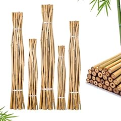 Funkybuys thick bamboo for sale  Delivered anywhere in UK