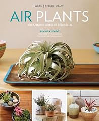 tillandsia d'occasion tillandsia d'occasion Livré partout en France