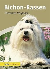 Bichon rassen malteser gebraucht kaufen  Wird an jeden Ort in Deutschland
