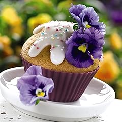 Pansy viola seeds for sale  Delivered anywhere in UK