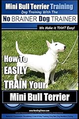 Mini bull terrier usato  Spedito ovunque in Italia 
