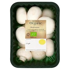 Organic mushrooms 250g for sale  Delivered anywhere in UK