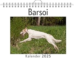Barsoi gebraucht kaufen  Wird an jeden Ort in Deutschland