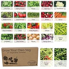 Pronto seed vegetable for sale  Delivered anywhere in UK