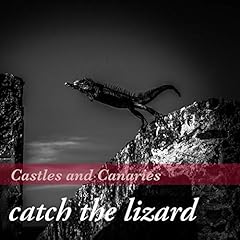 Catch the lizard d'occasion  Livré partout en France