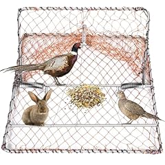 Sunnychicc pack bird for sale  Delivered anywhere in USA 