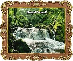 Golitha falls liskeard for sale  Delivered anywhere in UK
