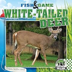 White tailed deer for sale  Delivered anywhere in USA 