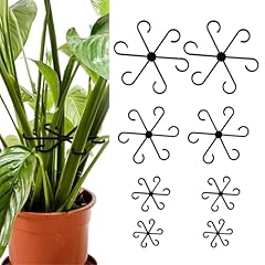 7queen 8pcs plant for sale  Delivered anywhere in USA 