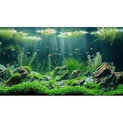 Aquarium background underwater for sale  Delivered anywhere in USA 