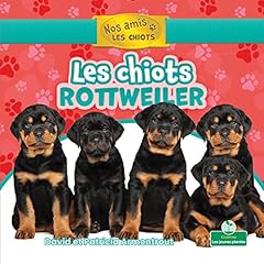 Chiots rottweiler rottweiler d'occasion  Livré partout en France