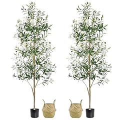 Caxchiling faux olive for sale  Delivered anywhere in USA 