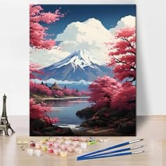 Tishiron kit peinture d'occasion  Livré partout en France