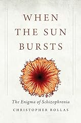 Sun bursts enigma for sale  Delivered anywhere in USA 