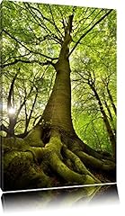 Pixxprint riesiger baum gebraucht kaufen  Wird an jeden Ort in Deutschland