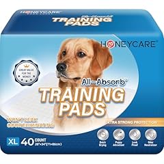 Honey care absorb for sale  Delivered anywhere in USA 