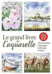 Grand livre aquarelle d'occasion  Livré partout en France