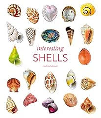 Interesting shells d'occasion  Livré partout en France