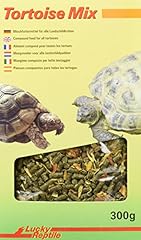 Lucky reptile tortoise usato  Spedito ovunque in Italia 