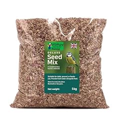 Grumpy gardener bird for sale  Delivered anywhere in UK