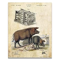 Hog trap vintage for sale  Delivered anywhere in USA 