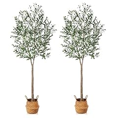Ferrgoal artificial olive for sale  Delivered anywhere in USA 