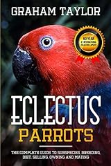 Eclectus parrot complete for sale  Delivered anywhere in USA 