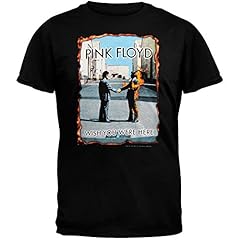 Pink floyd wish usato  Spedito ovunque in Italia 