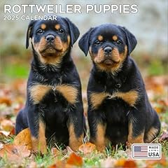 Megacalendars rottweiler pups for sale  Delivered anywhere in USA 
