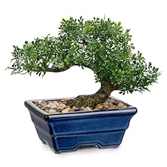 Oairse artificial bonsai for sale  Delivered anywhere in UK