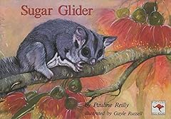 Sugar glider d'occasion  Livré partout en France