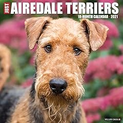 Just airedale terriers d'occasion  Livré partout en France