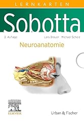 Sobotta lernkarten neuroanatom gebraucht kaufen  Wird an jeden Ort in Deutschland