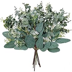 Mixed eucalyptus leaves for sale  Delivered anywhere in USA 