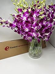 Fresh cut orchids for sale  Delivered anywhere in USA 
