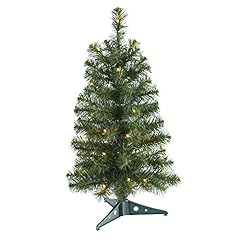 Nearly natural 2ft. for sale  Delivered anywhere in USA 
