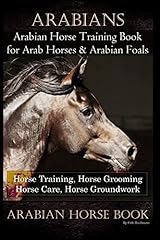 Arabians training horse for sale  Delivered anywhere in USA 