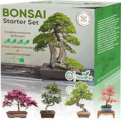 Easy bonsai kit d'occasion  Livré partout en France